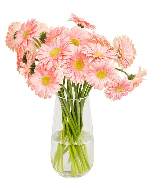 Subscription Flowers - Gerbera - Image 2