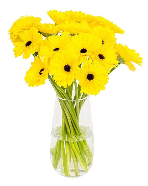 Subscription Flowers - Gerbera - Image 7