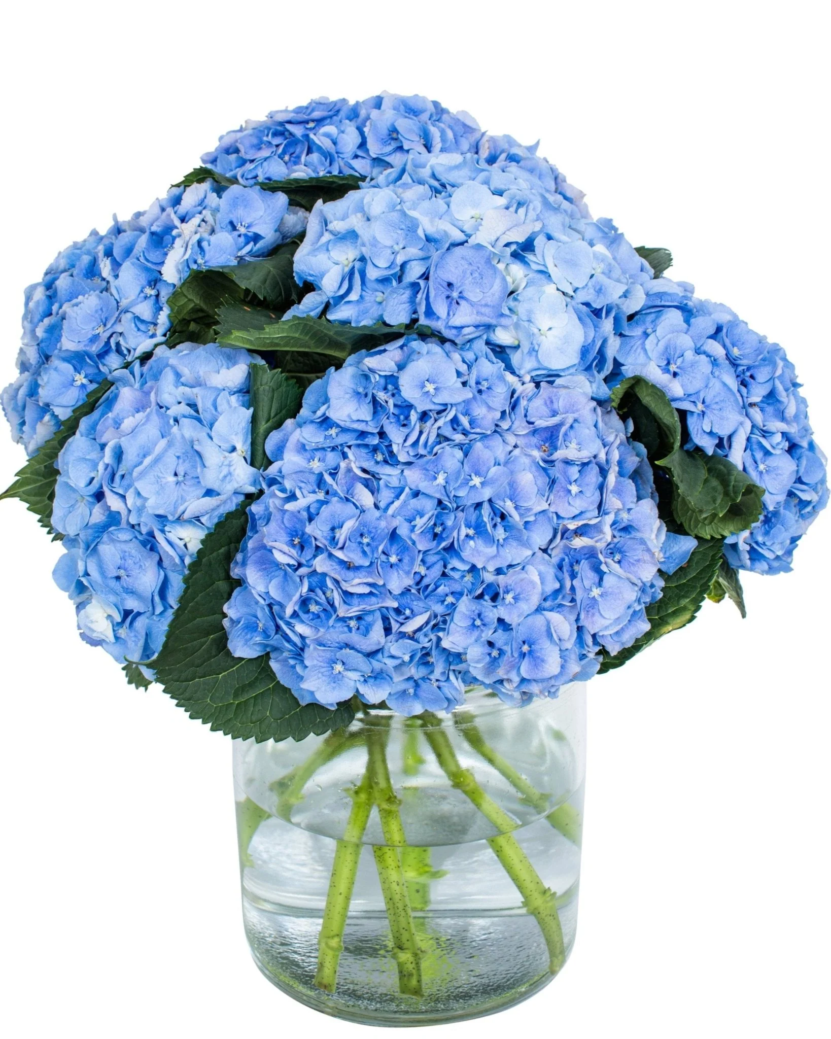 Fresh Flower Bouquets £30-£40