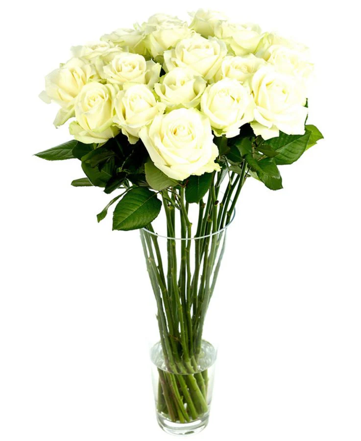 Roses - Long Stemmed - Image 3