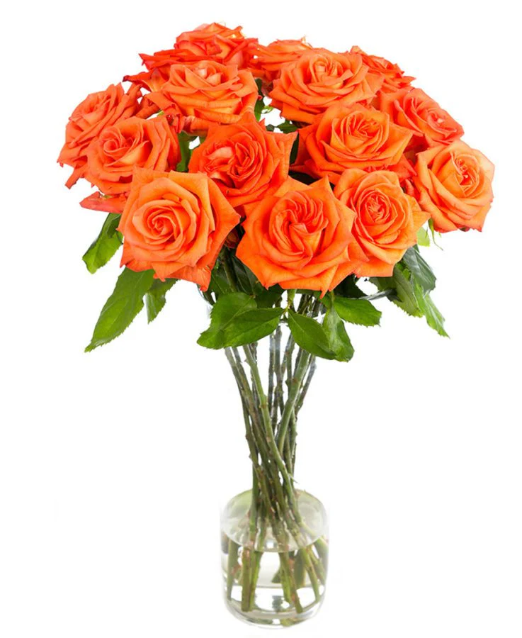 Roses - Long Stemmed - Image 6