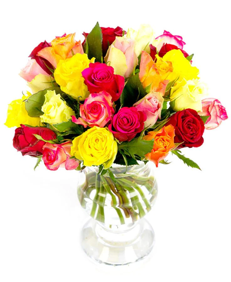 Roses - Mixed - Image 3