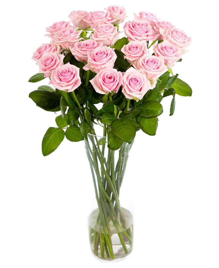 Subscription Flowers - Roses - Pink - Image 2