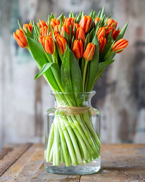 Subscription Flowers - Tulips - Image 10