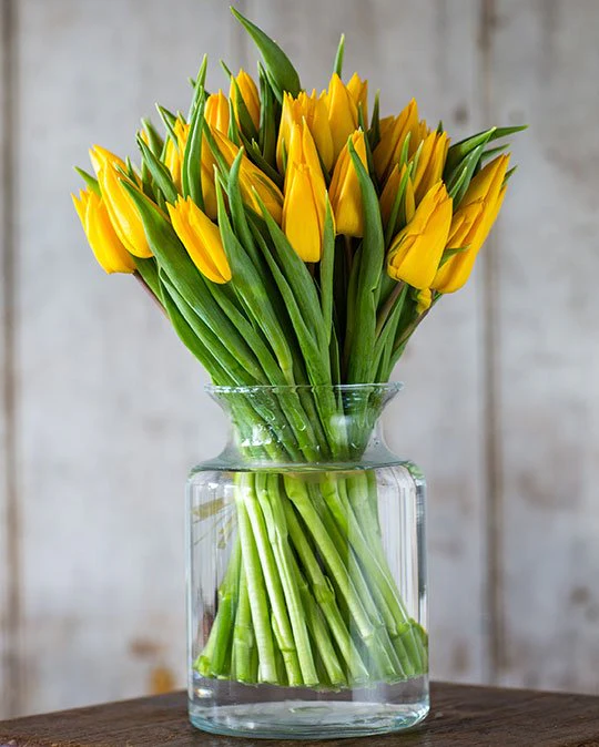 Subscription Flowers - Tulips - Image 17