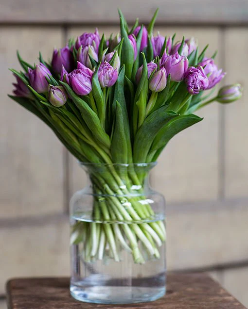 Subscription Flowers - Tulips - Image 4