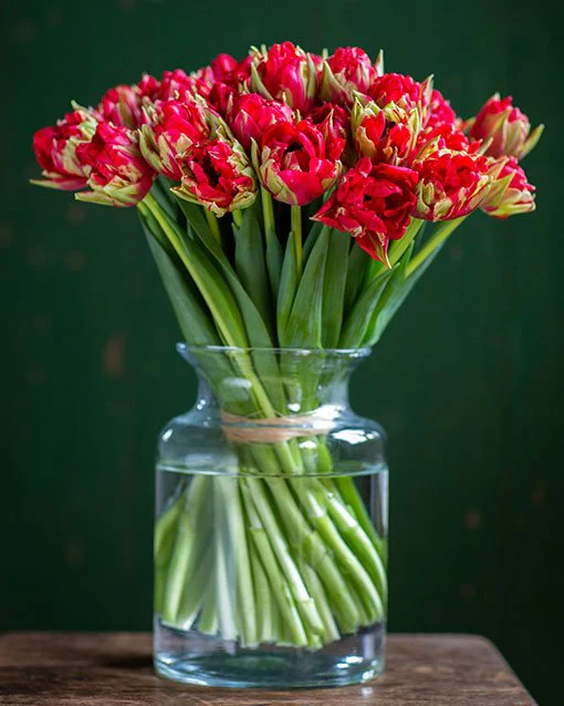 Subscription Flowers - Tulips - Image 5