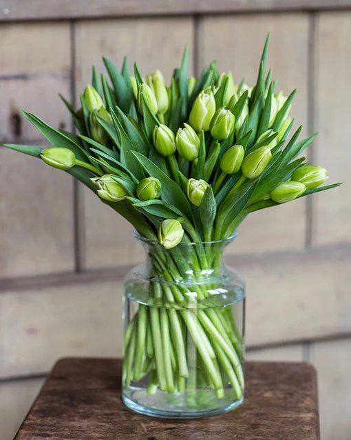 Subscription Flowers - Tulips - Image 9