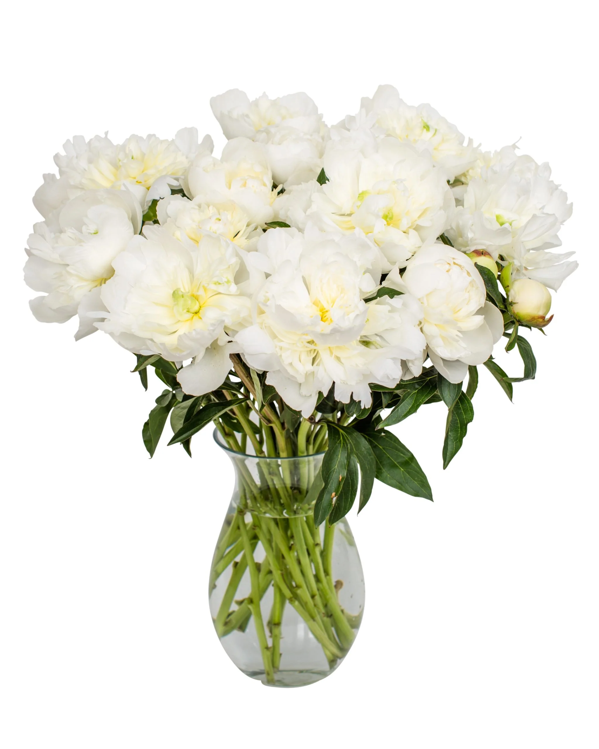 Summer Peonies - Great Value Bouquets - Image 9