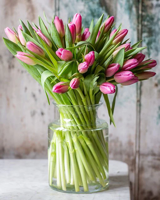 Tulips - Image 11