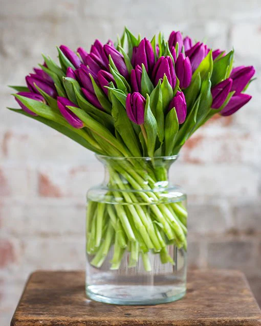Tulips - Image 12