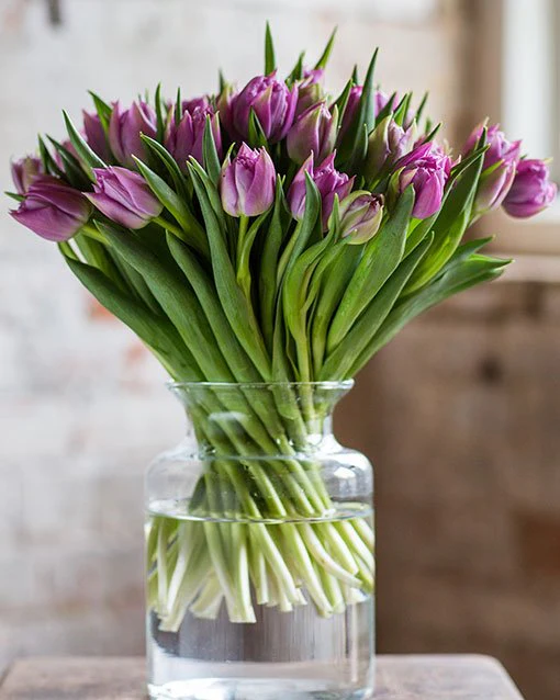 Tulips - Image 2