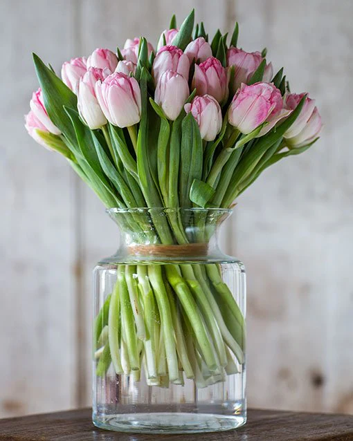 Tulips - Image 6