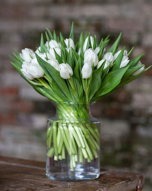 Tulips - Image 7