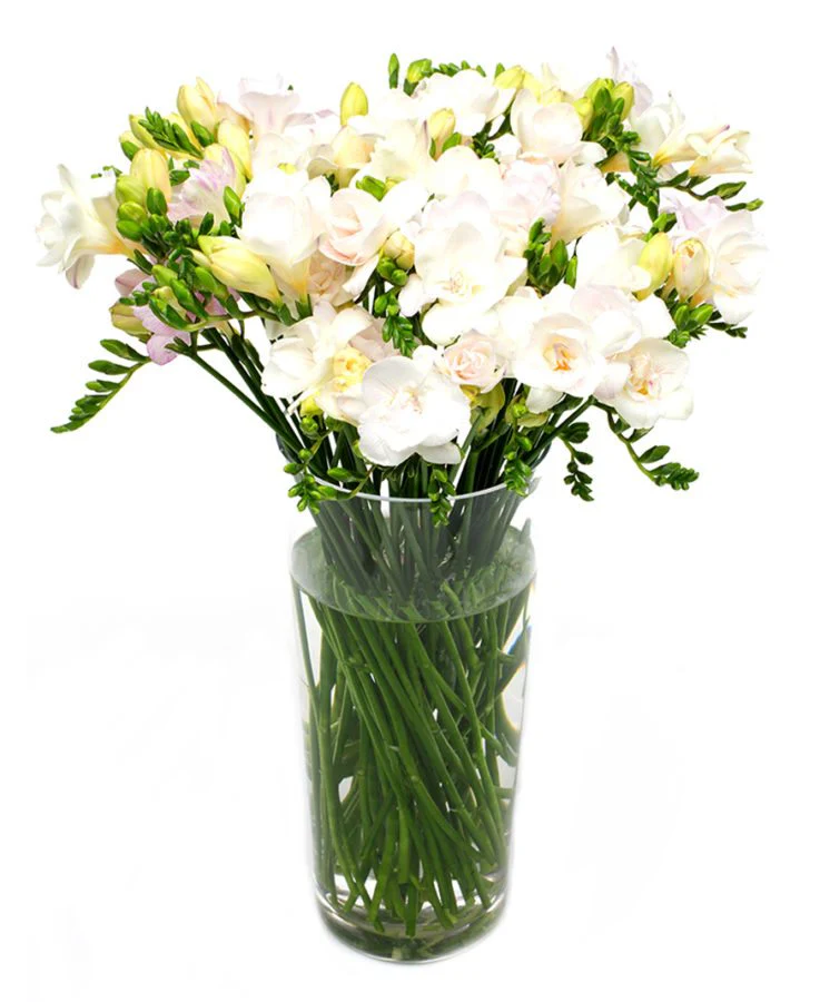 Subscription Flowers - White - Image 21